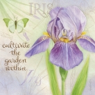 JS-D389 botanical iris