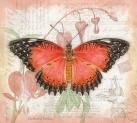 JS-BF471 red lacewing