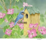 JS-BG613-dogwood-birdhouse-comp