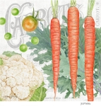 JS-FV656c-carrot-and-kale-sq