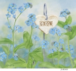 JS-HG623-forget-me-not