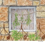 JS-HG687-herb-window