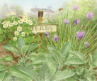js-d269-herb-garden