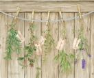 js-d271-hanging-herbs