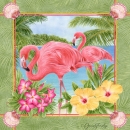js-d135-flamingos